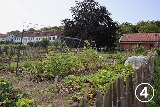 サステイナブル・コミュニティ「セーゲパーク」 画像4
